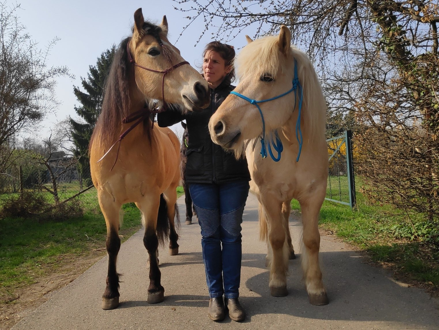 Susanne mit Noldi und Diswitha