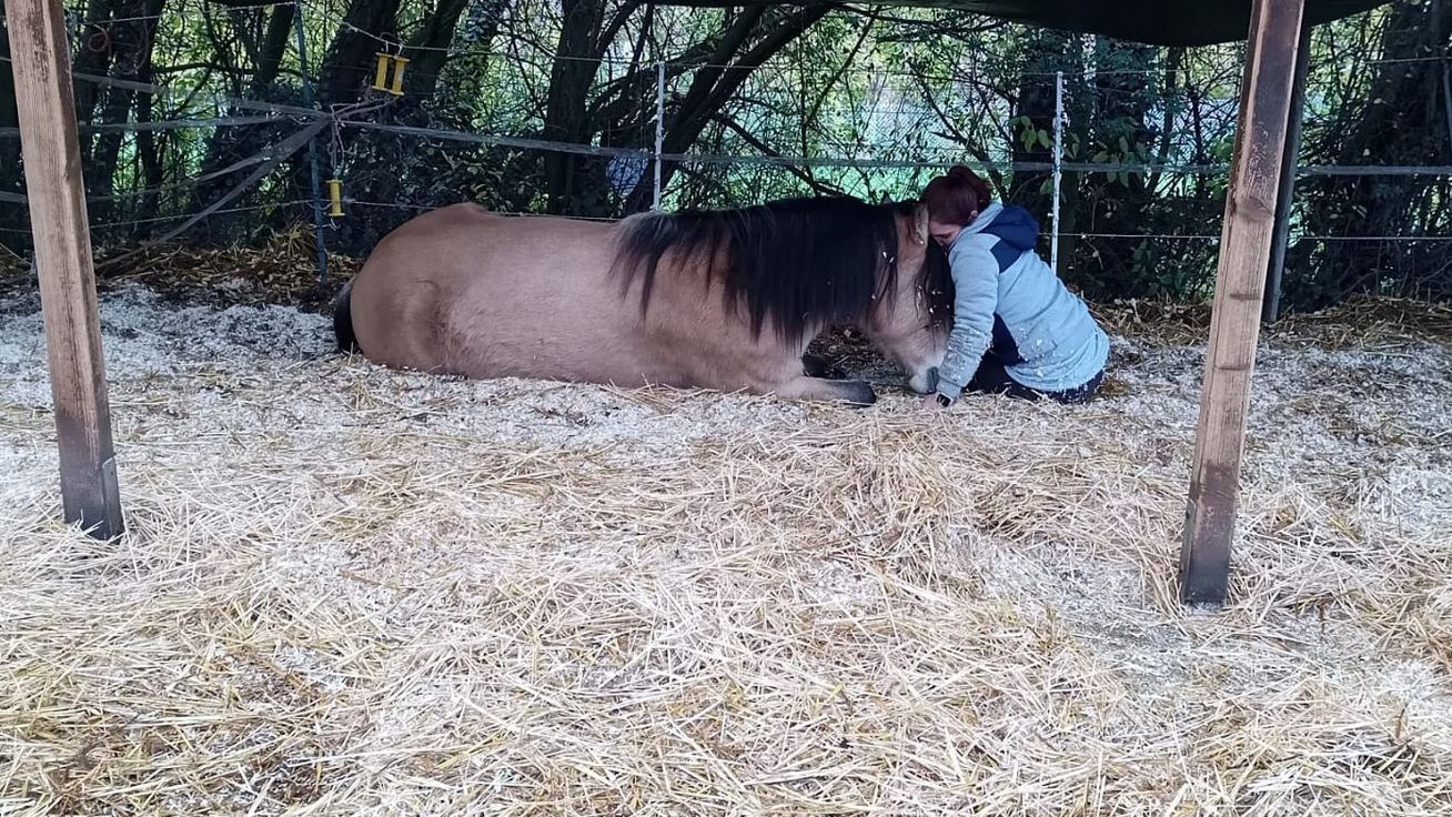 Susanne und Diswitha ganz nah