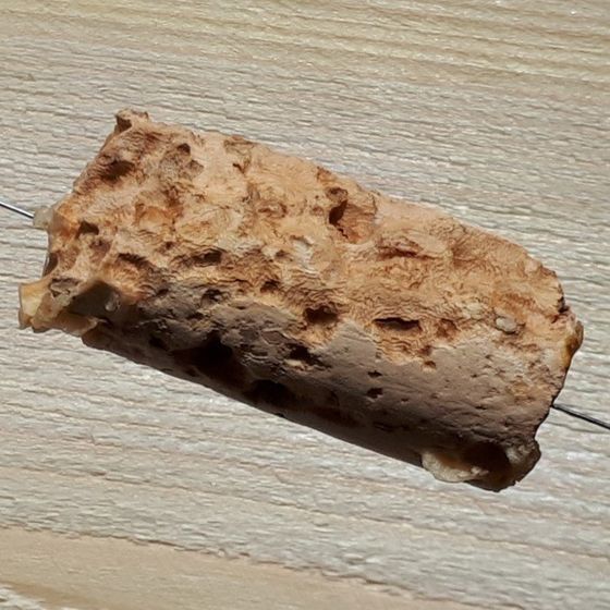 Korken von Bienen zerbissen