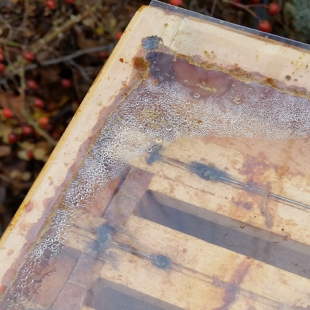 Kondenswasser unter der Abdeckfolie