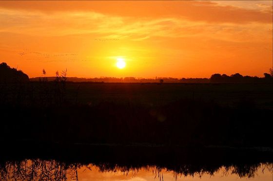 BeeTeltow - Sonnenaufgang