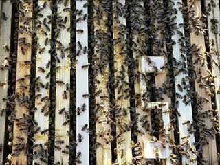 Mikrofone in der Wabengasse