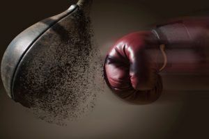 SparringsPartner - Sie brauchen einen echten Partner