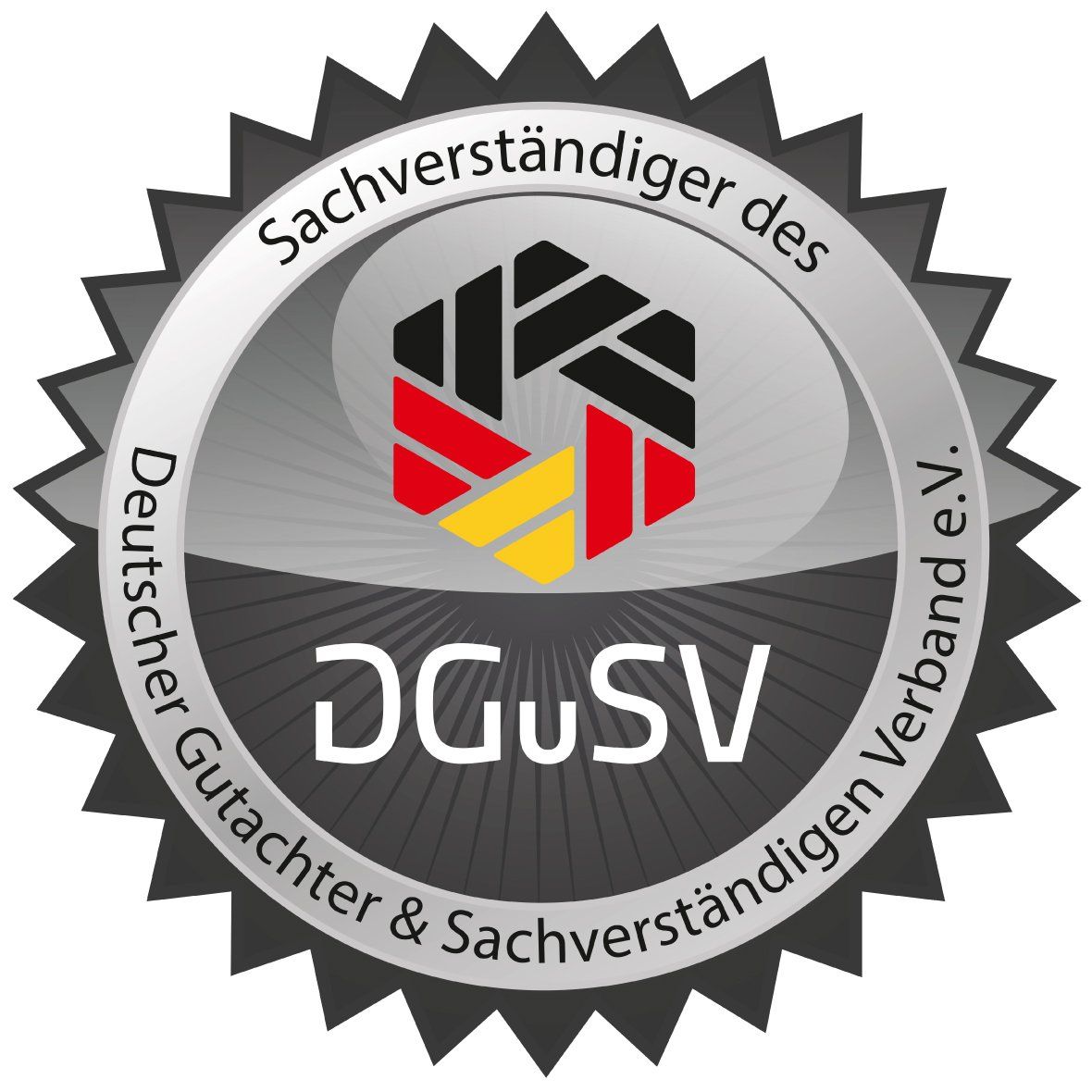 Logo DGSV