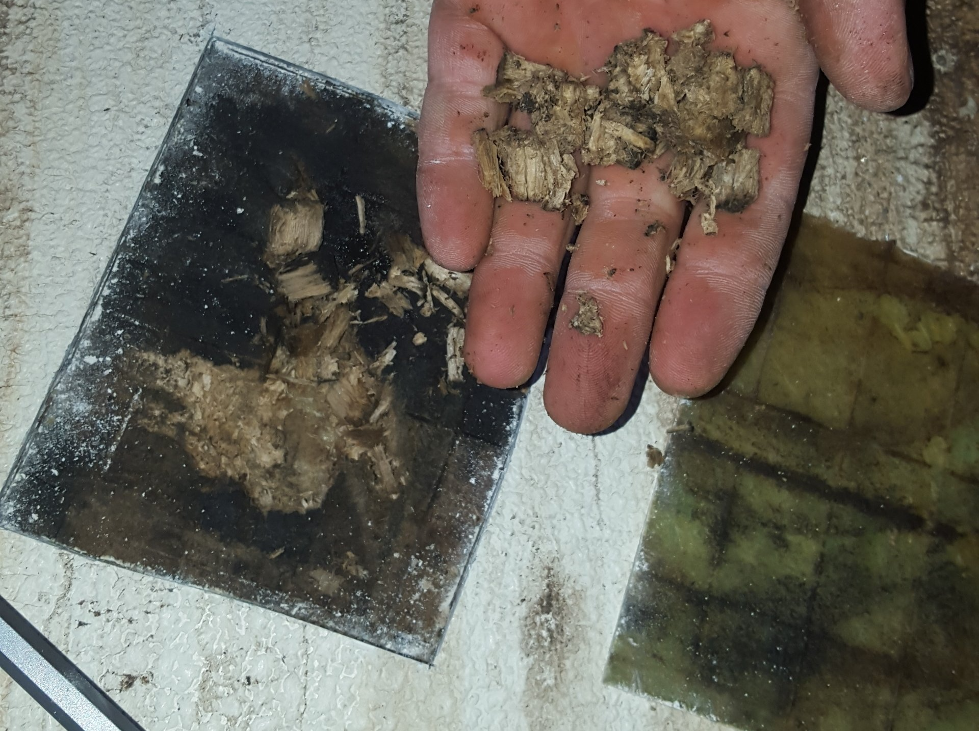 Balsa Sandwichkern eines GFK Decks hat Wasser gezogen