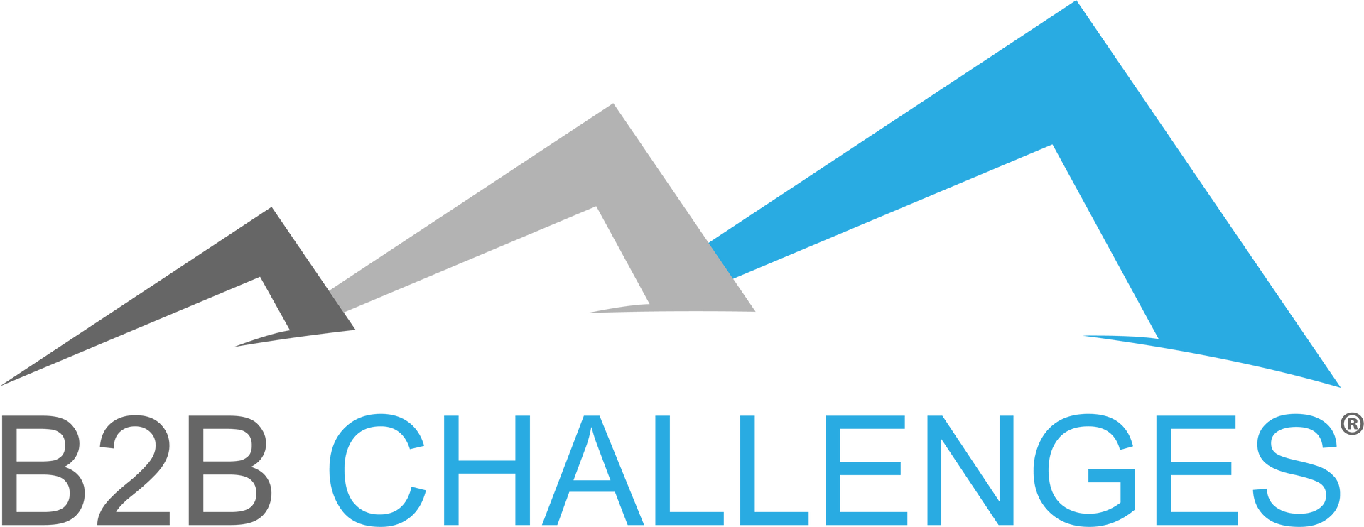 B2B Challenges
