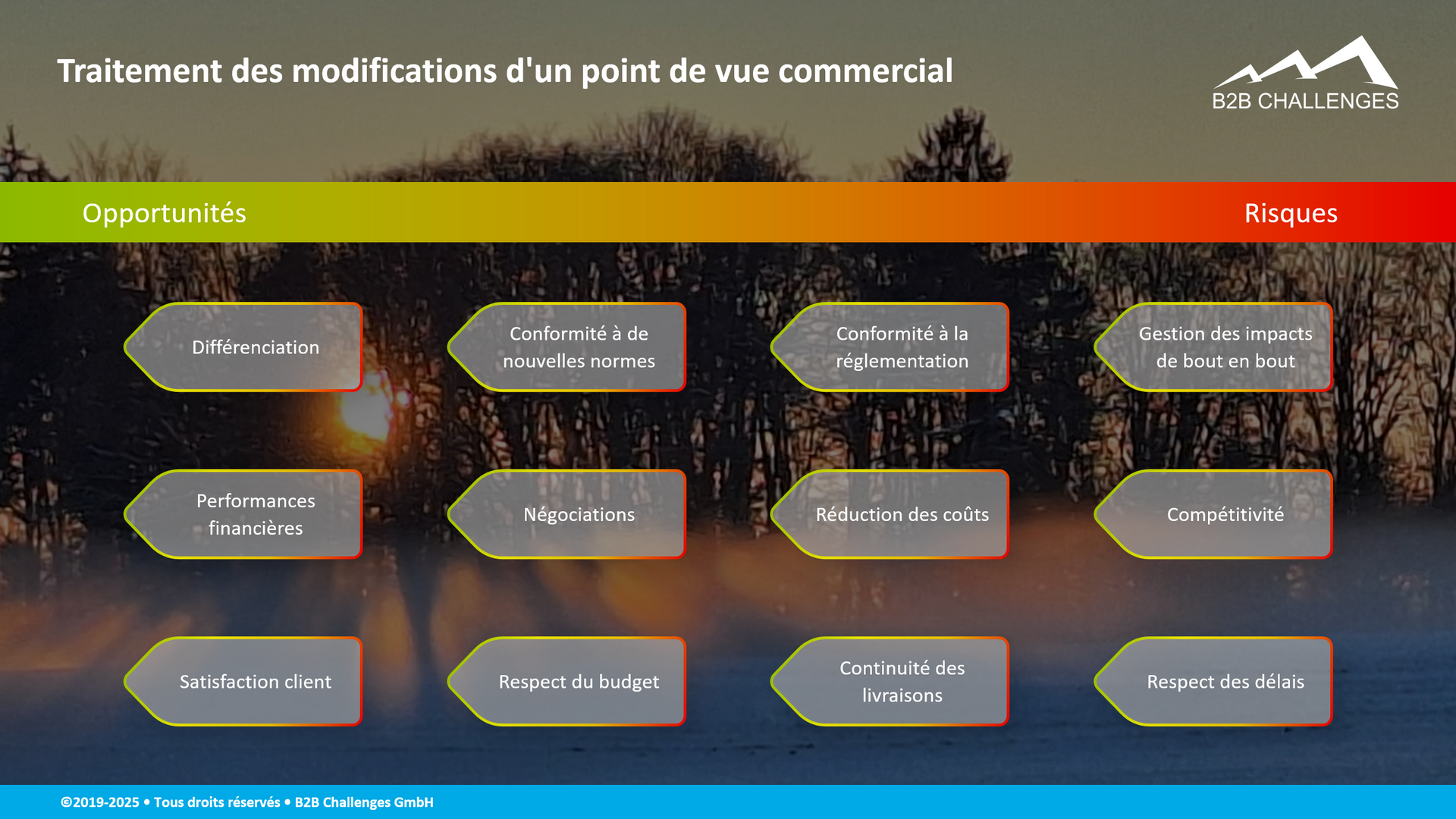 Traitement des modifications d'un point de vue commercial (© Serge Megazzini | B2B Challenges GmbH) Traitement des modifications d'un point de vue commercial (© Serge Megazzini | B2B Challenges GmbH)