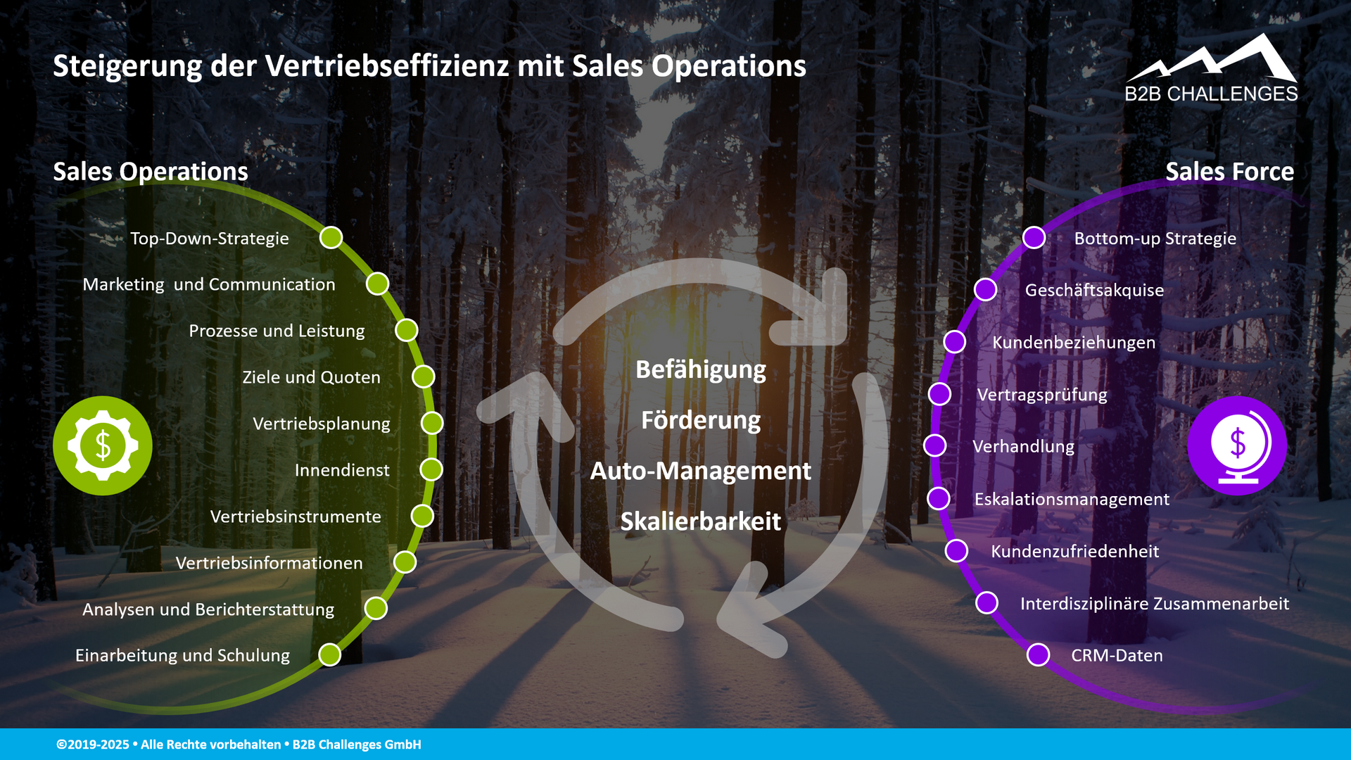Steigerung der Vertriebseffizienz mit Sales Operations (© Serge Megazzini | B2B Challenges GmbH) Steigerung der Vertriebseffizienz mit Sales Operations (© Serge Megazzini | B2B Challenges GmbH)