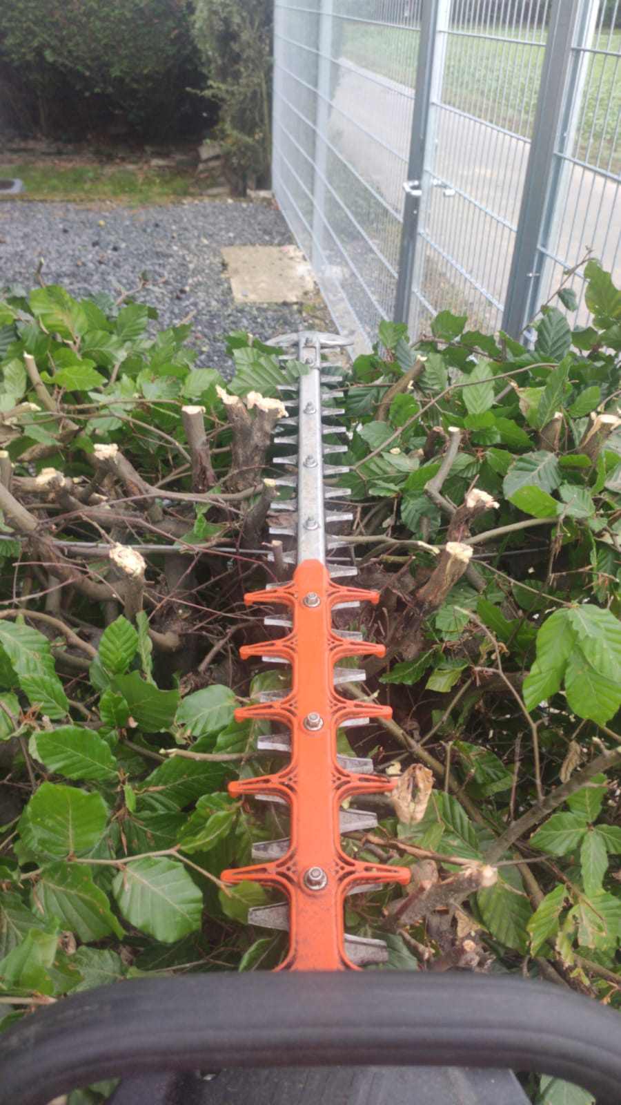 Heckenschere schleifen