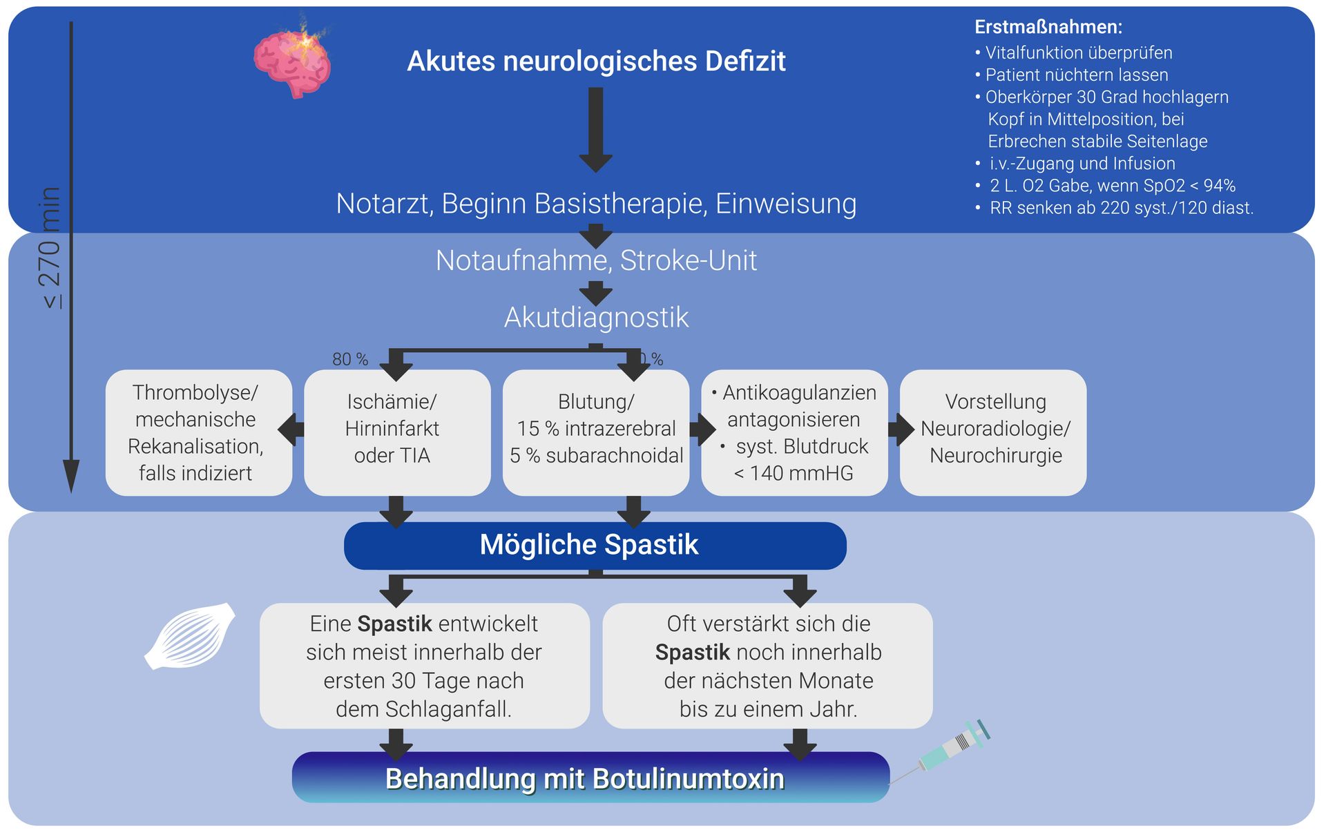 Leitlinien Leitlinien