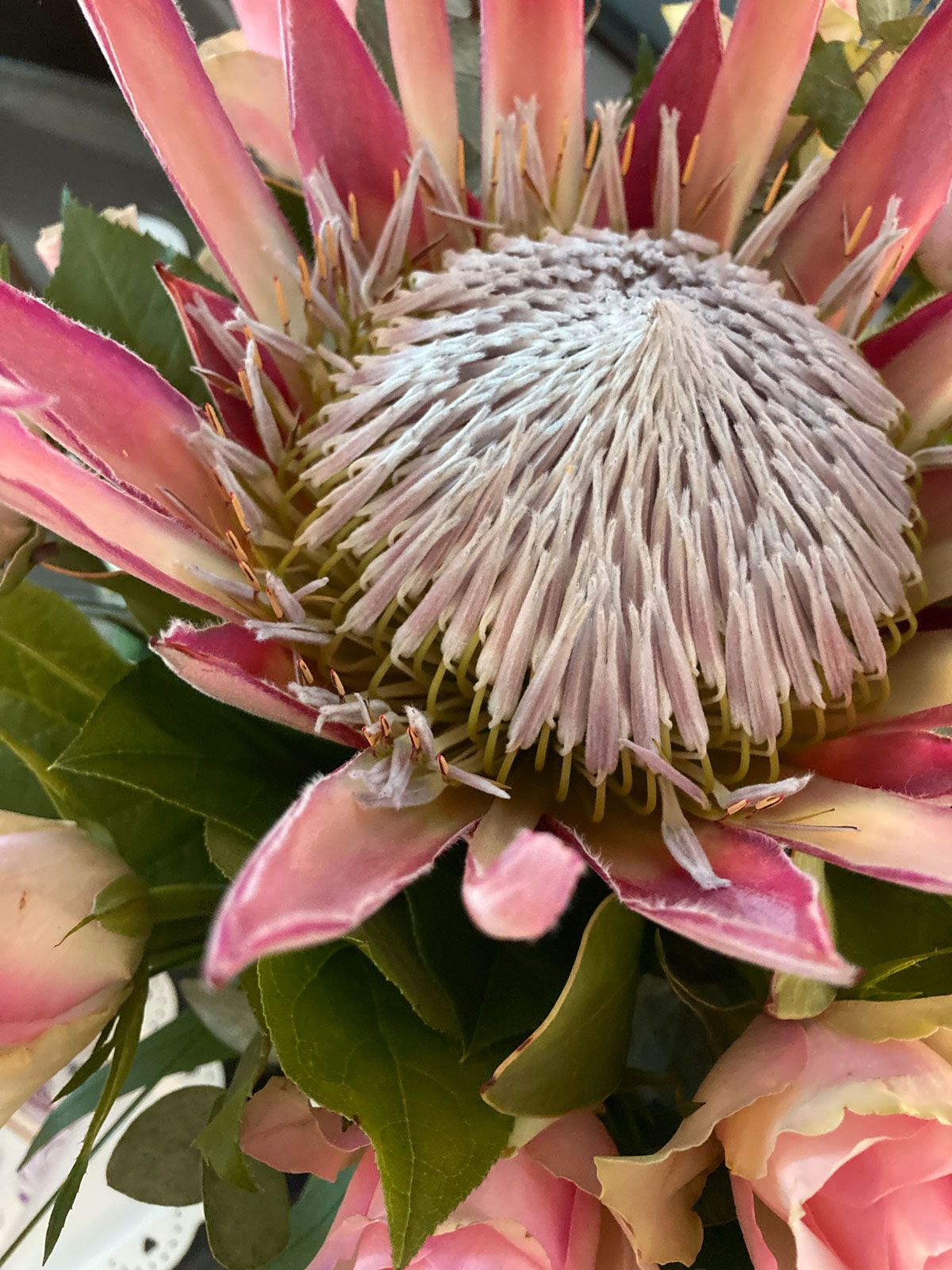 Herzlich willkommen im Kosmetikstudio Zur Perle