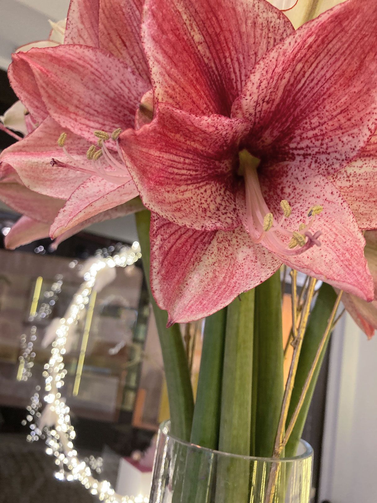 Herzlich willkommen im Kosmetikstudio Zur Perle