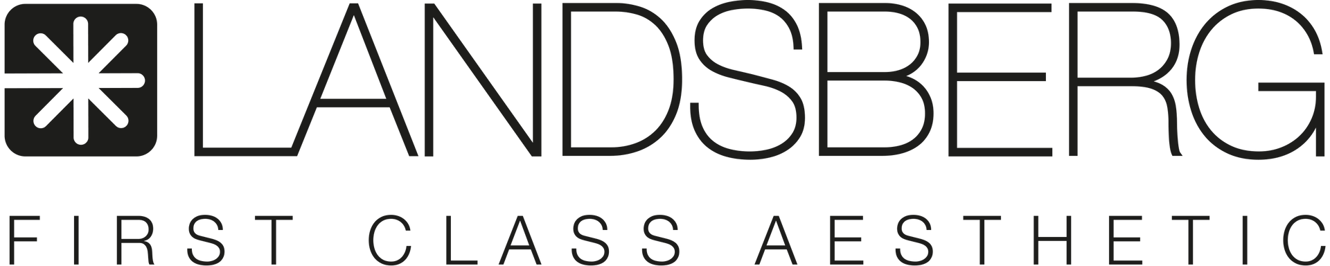 Logo Landsberg First Class Aesthetic Logo Landsberg First Class Aesthetic