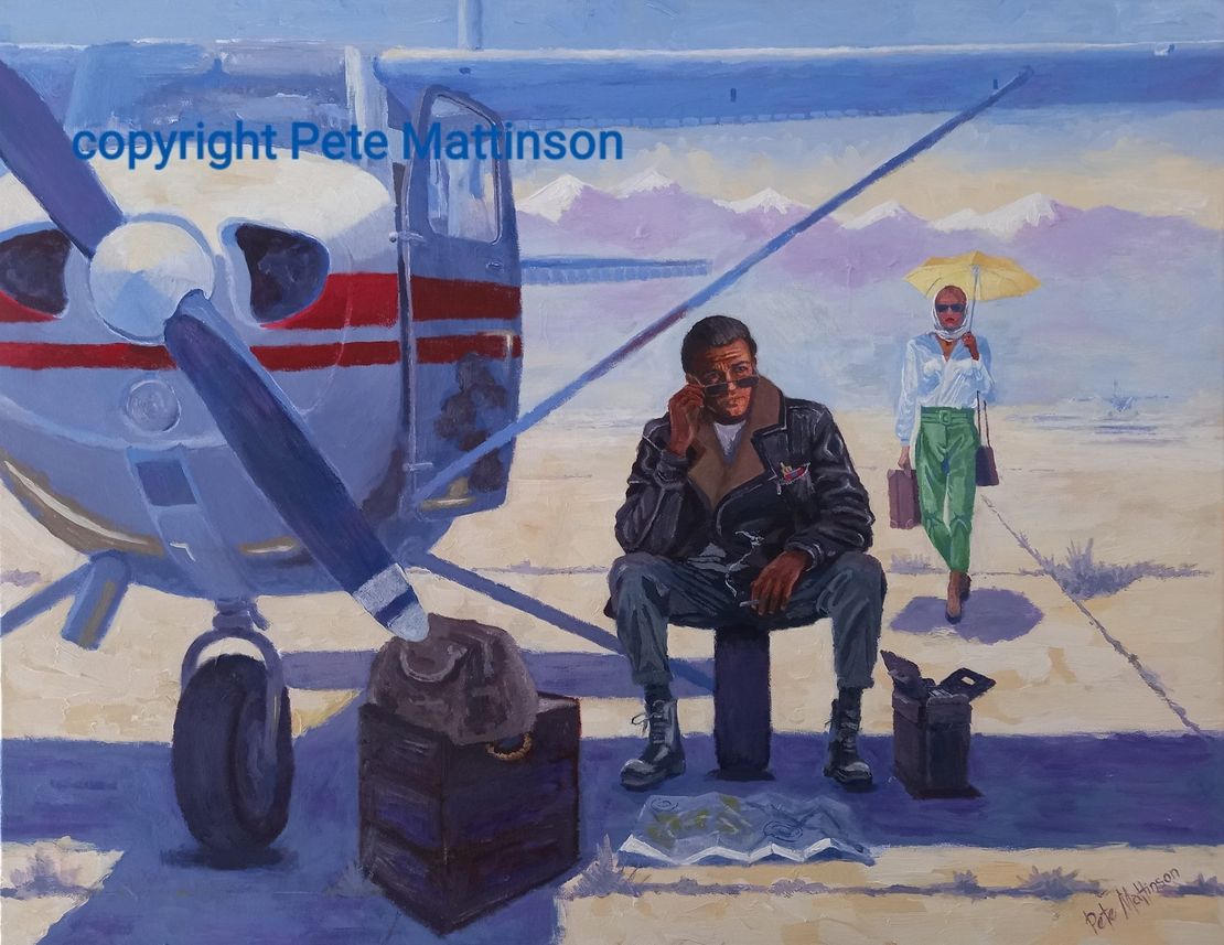 Peter Mattinson portraits aircraft