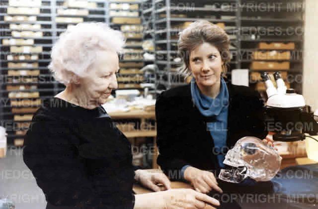 Crâne de Cristal, Crystal Skull, Patrice Marty