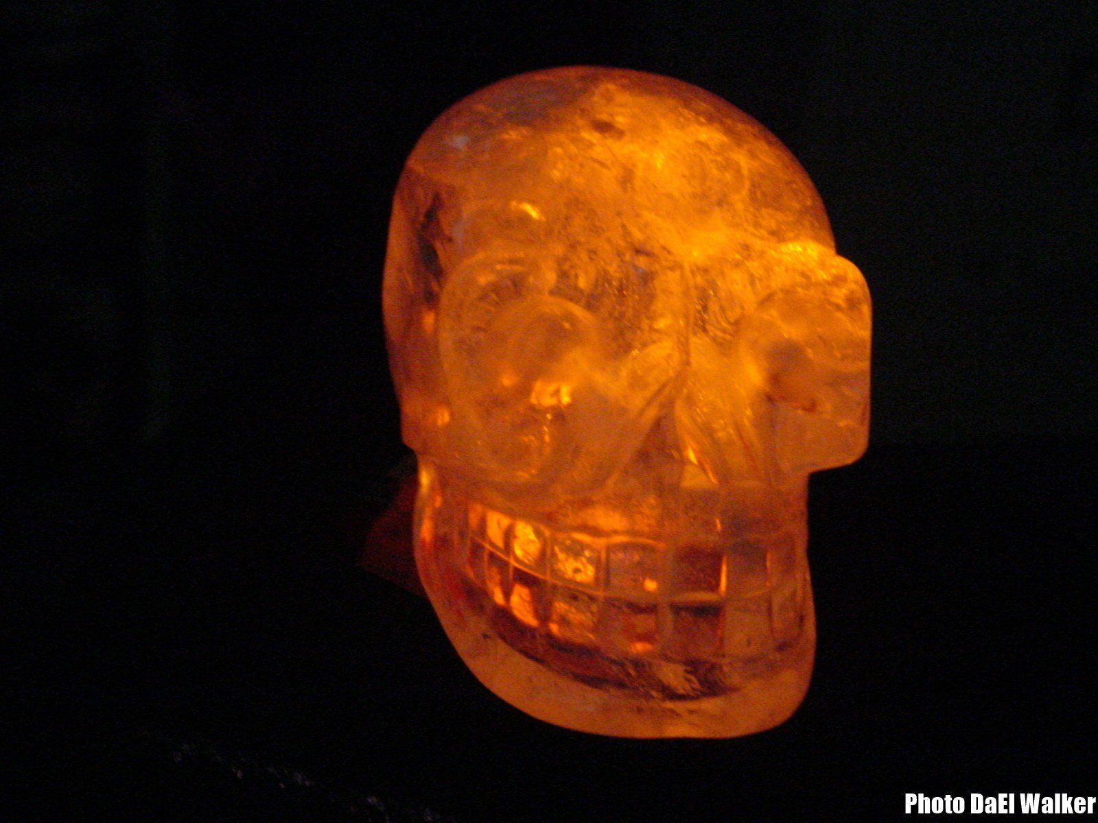 Crâne de Cristal, Crystal Skull, Patrice Marty