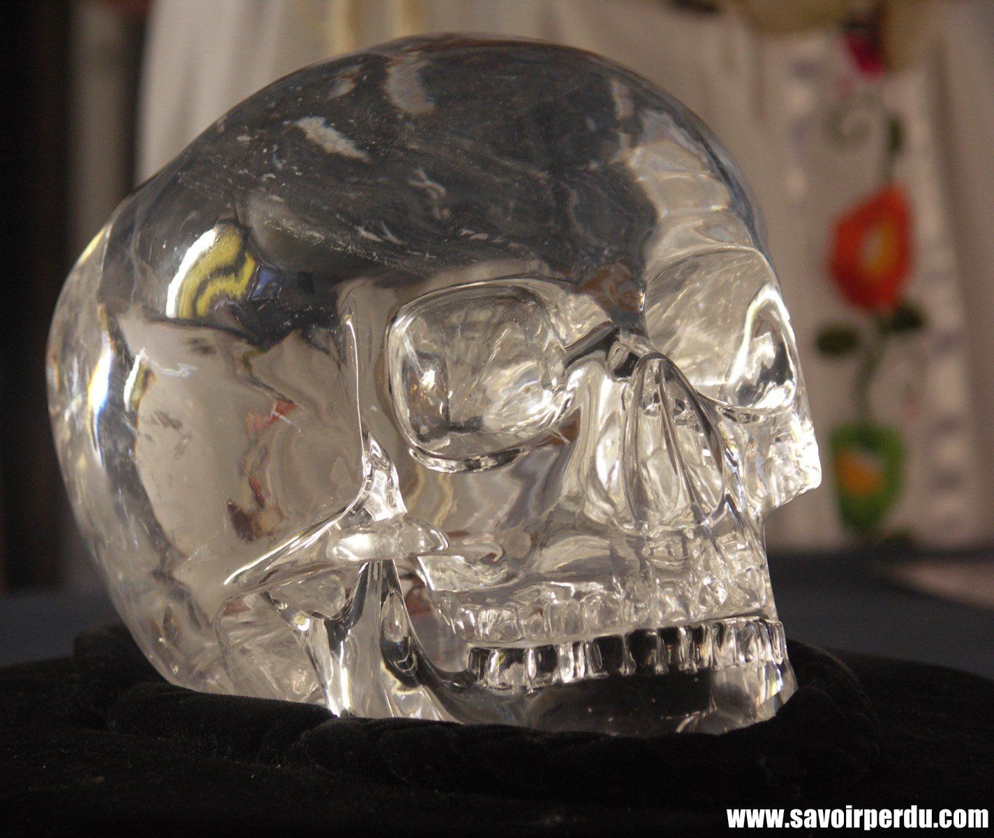 Crâne de Cristal, Crystal Skull, Patrice Marty
