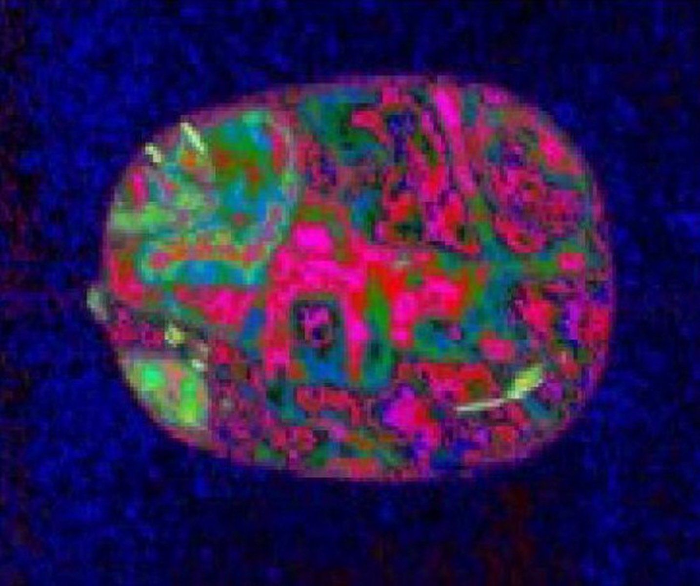 Crâne de Cristal, Crystal Skull, Patrice Marty