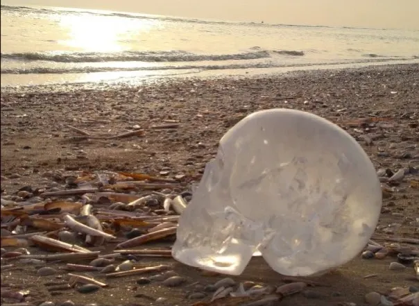 Crâne de Cristal, Crystal Skull, Patrice Marty