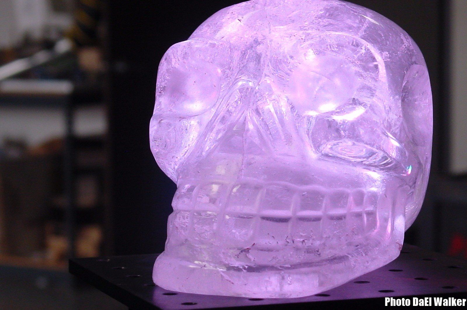 Crâne de Cristal, Crystal Skull, Patrice Marty