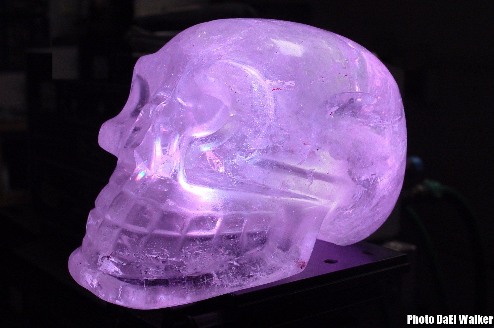 Crâne de Cristal, Crystal Skull, Patrice Marty