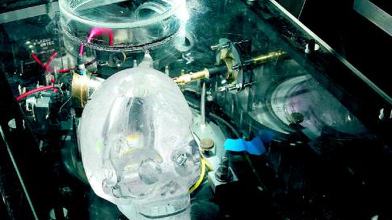 Crâne de Cristal, Crystal Skull, Patrice Marty