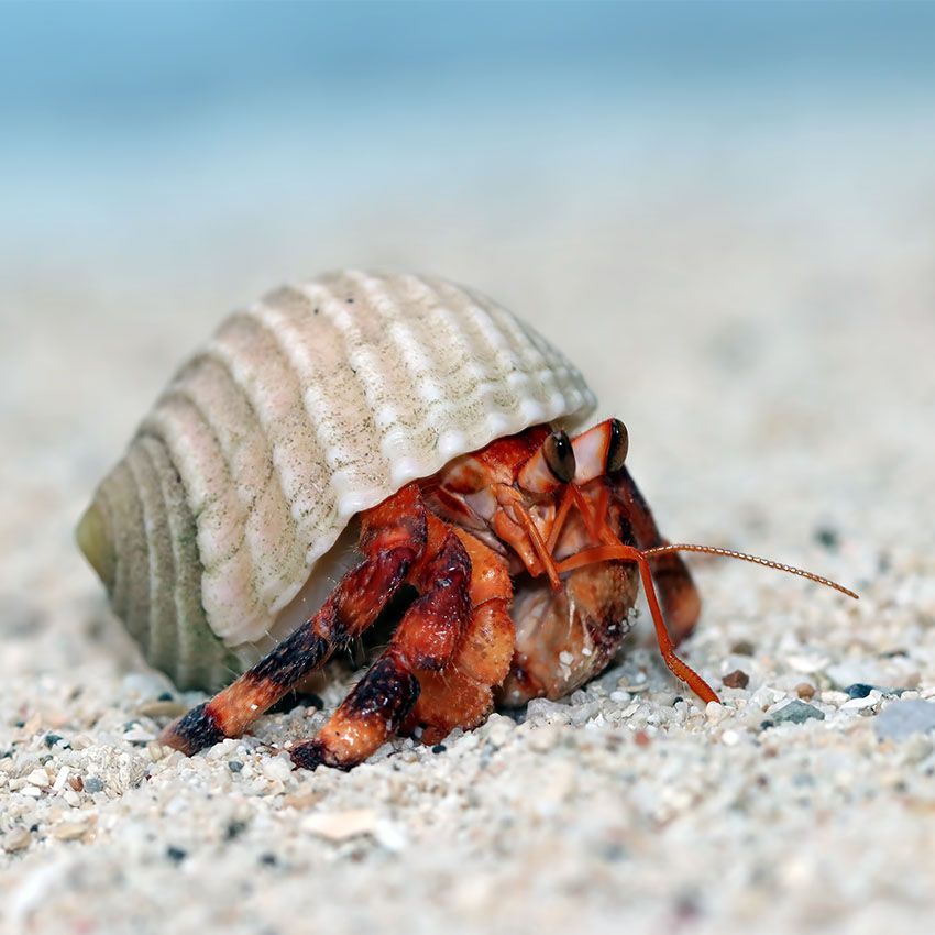 Systemische Beratung - Einzelsitzungen bei Mit Blick aufs Meer