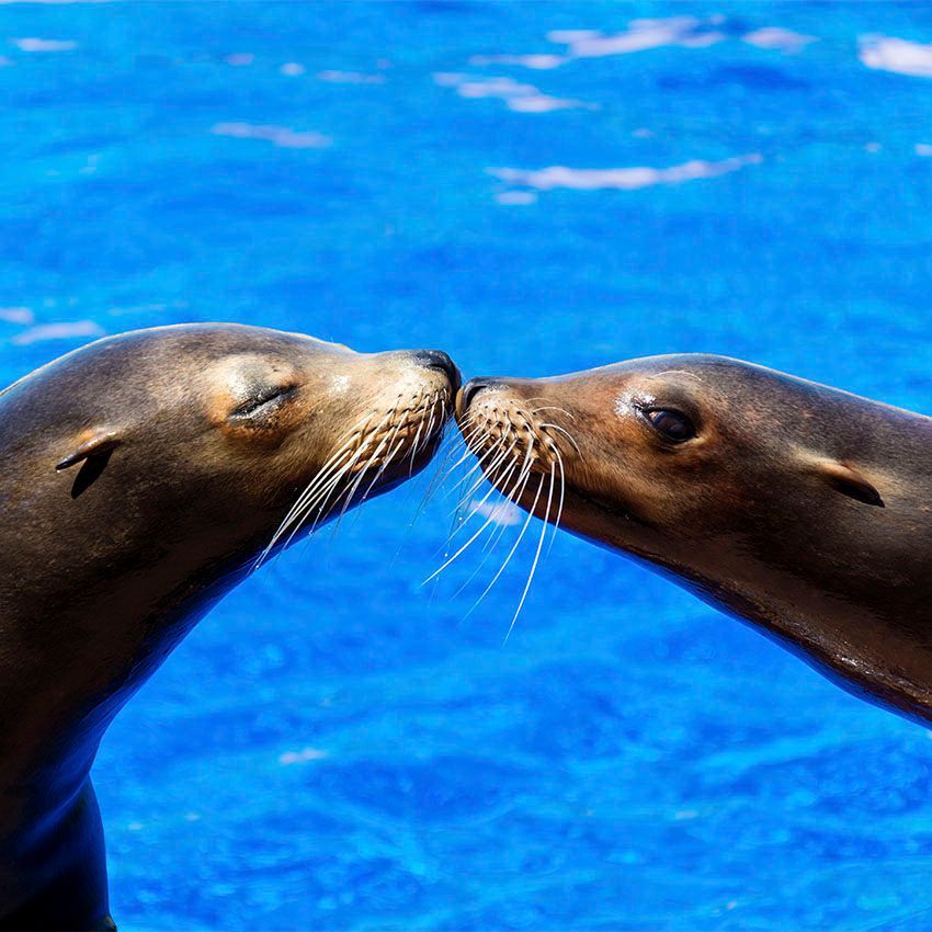 Systemische Beratung - Paarsitzungen bei Mit Blick aufs Meer