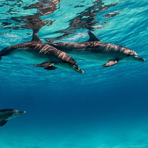 Seminare Leipzig: Entspannungsverfahren und -techniken, wie funktionieren Gefühle