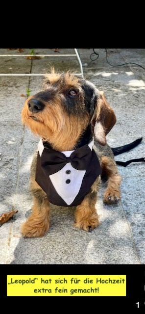 Leopolds Fotos auf der Hochzeit...
