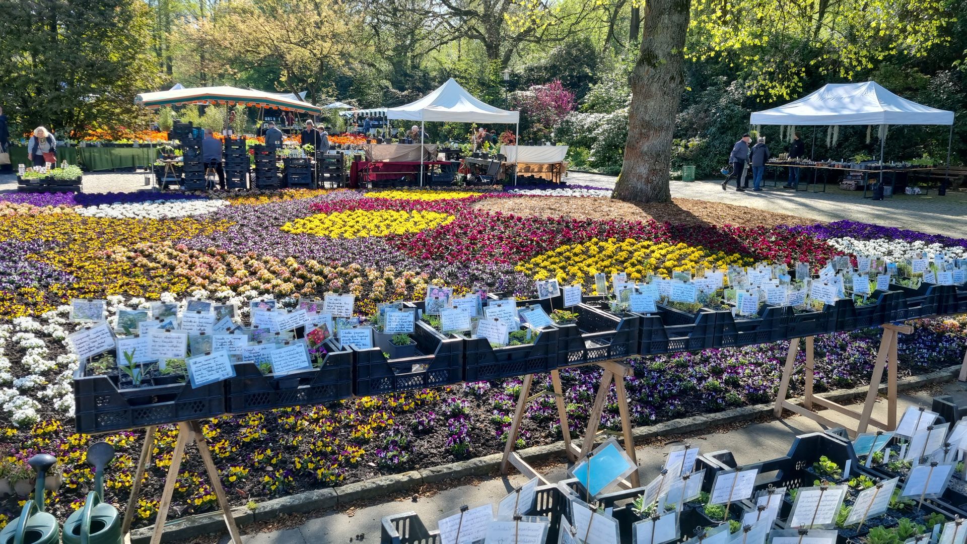 Kakteenmarkt Kakteenmarkt