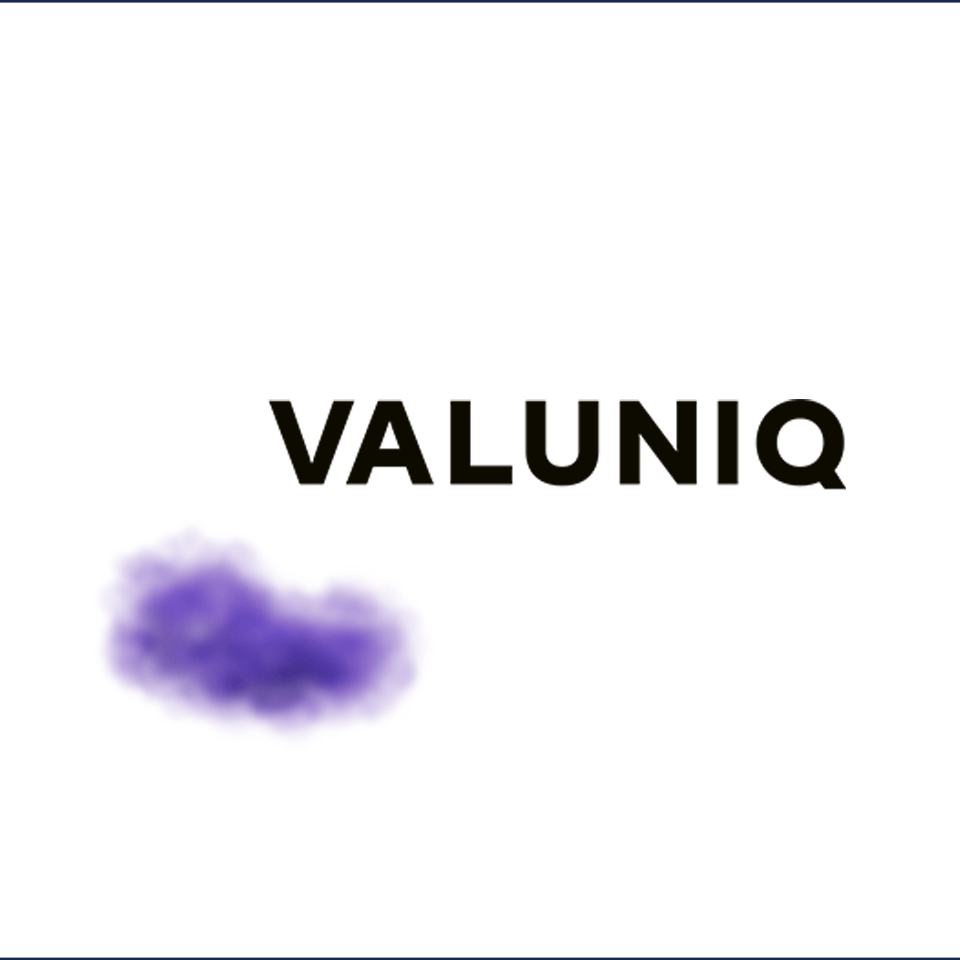 Logo: Bart & Lennart van der Meer - Valuniq Handelsvertretung Bart & Lennart van der Meer - Valuniq Handelsvertretung