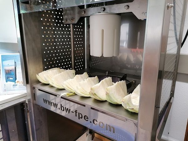 Mit unserem Stanzautomat geschnittene Krauthälften.