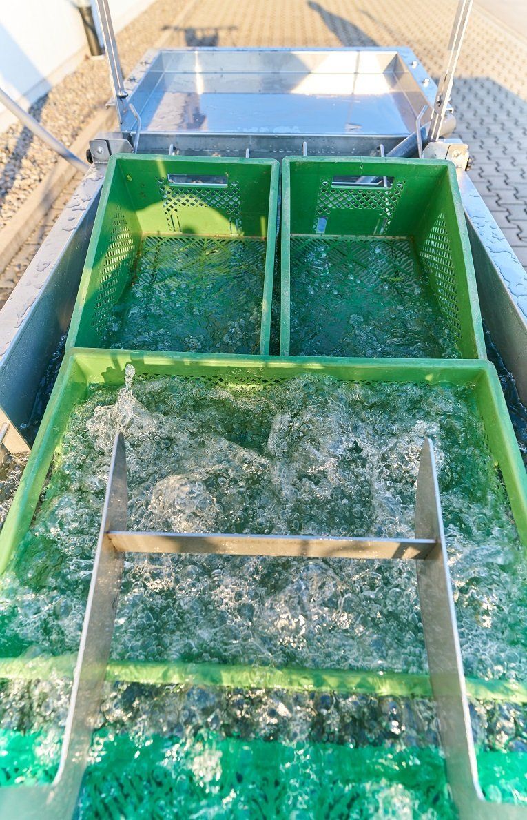 Unsere Durchschubwaschanlage