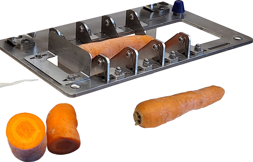 Unser Querteiler mit Karotten