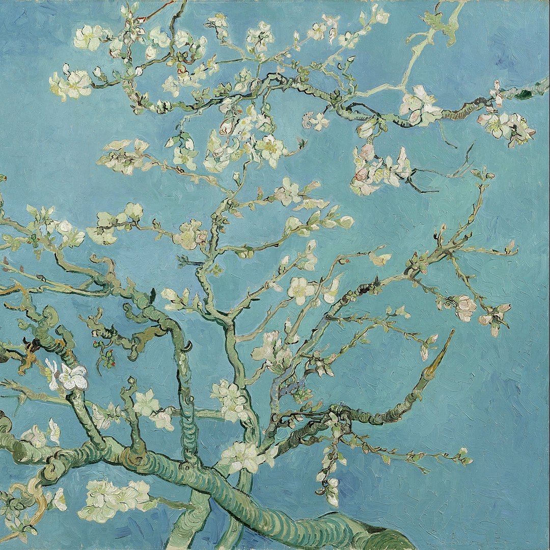 Les fleurs du printemps