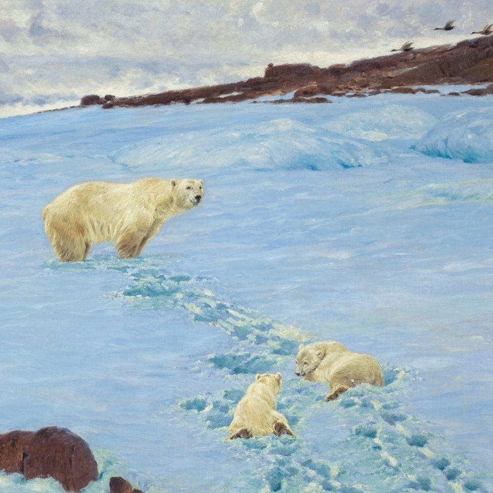 Empreintes dans les paysages enneigés