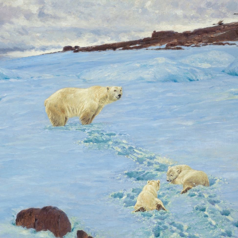 Empreintes dans les paysages enneigés