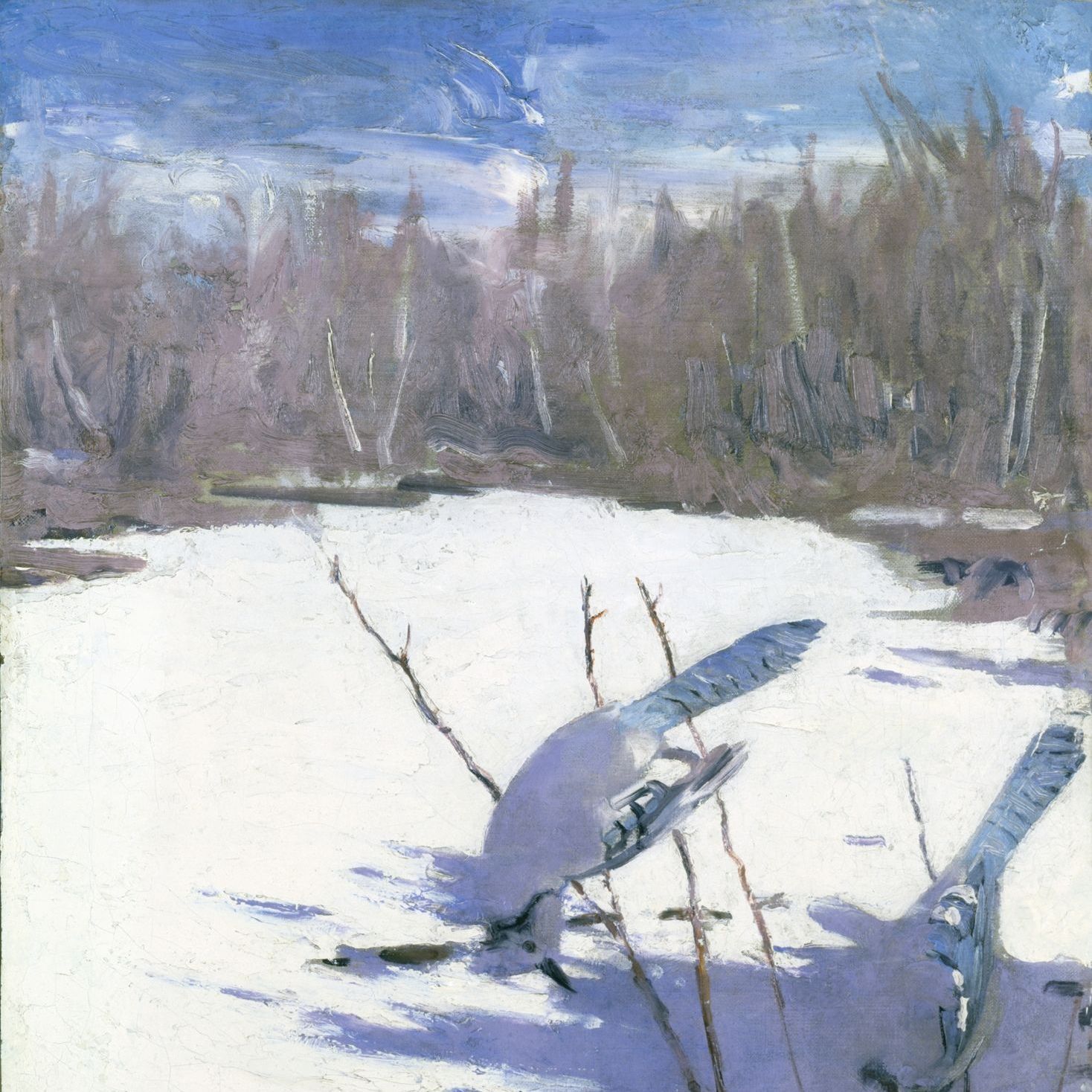 L'art du camouflage.