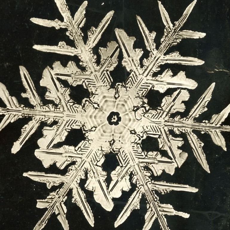 Les cristaux de neige de Snowflake Bentley