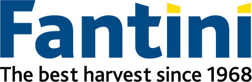 Fantini