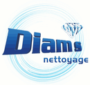 Diam’s Nettoyage_logo