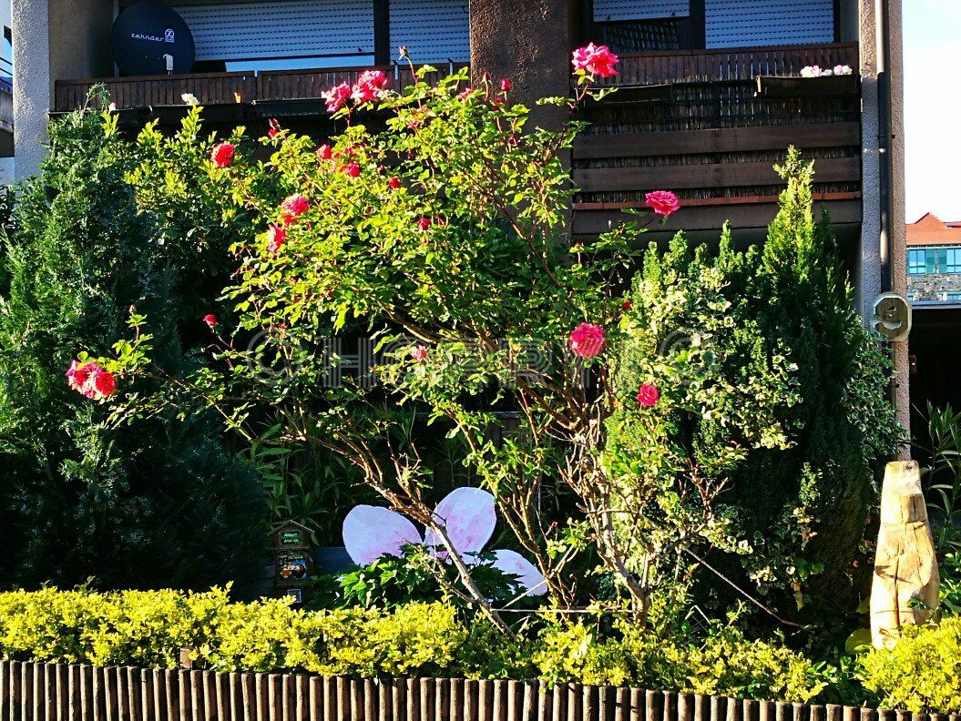 harrys-atelier.de kunst gimmeldingen