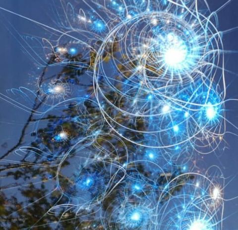 Sonnenaufgang Gimmeldingen