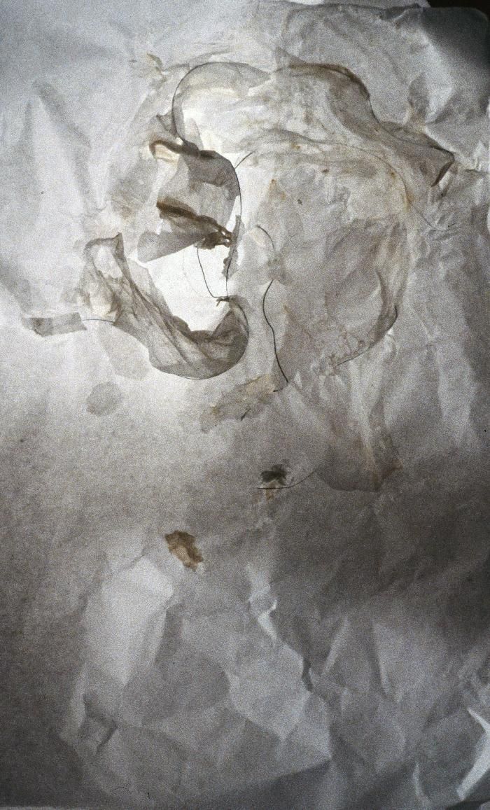 nadine kohn-fiszel artiste plasticienne,accueil,image 148