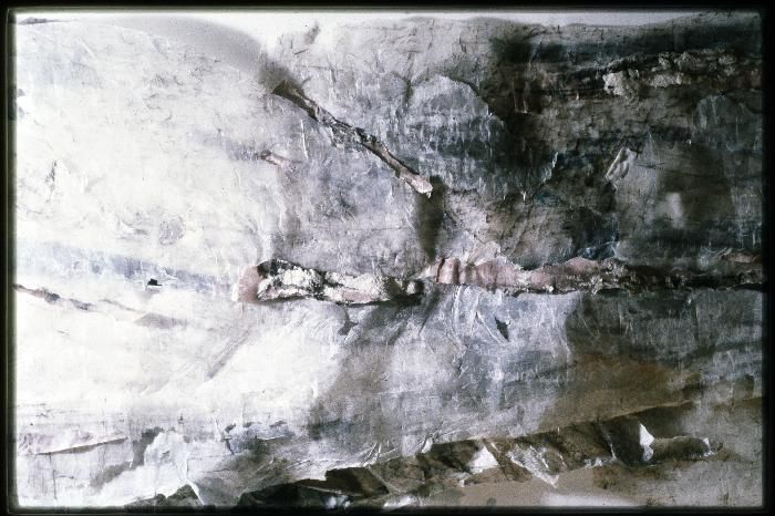 nadine kohn-fiszel artiste plasticienne,accueil,image 150