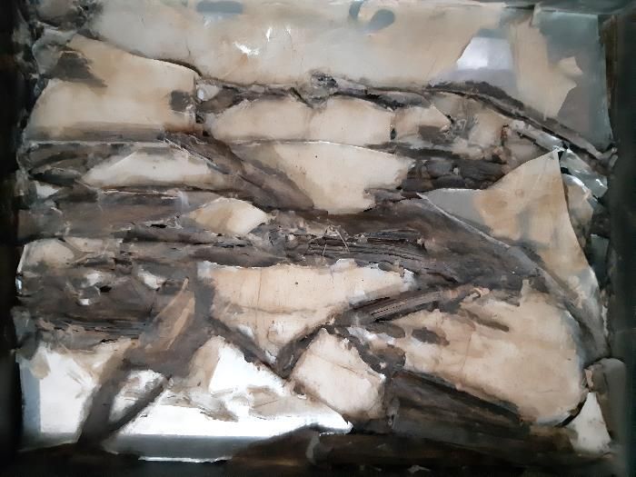 nadine kohn-fiszel artiste plasticienne,accueil,image 144