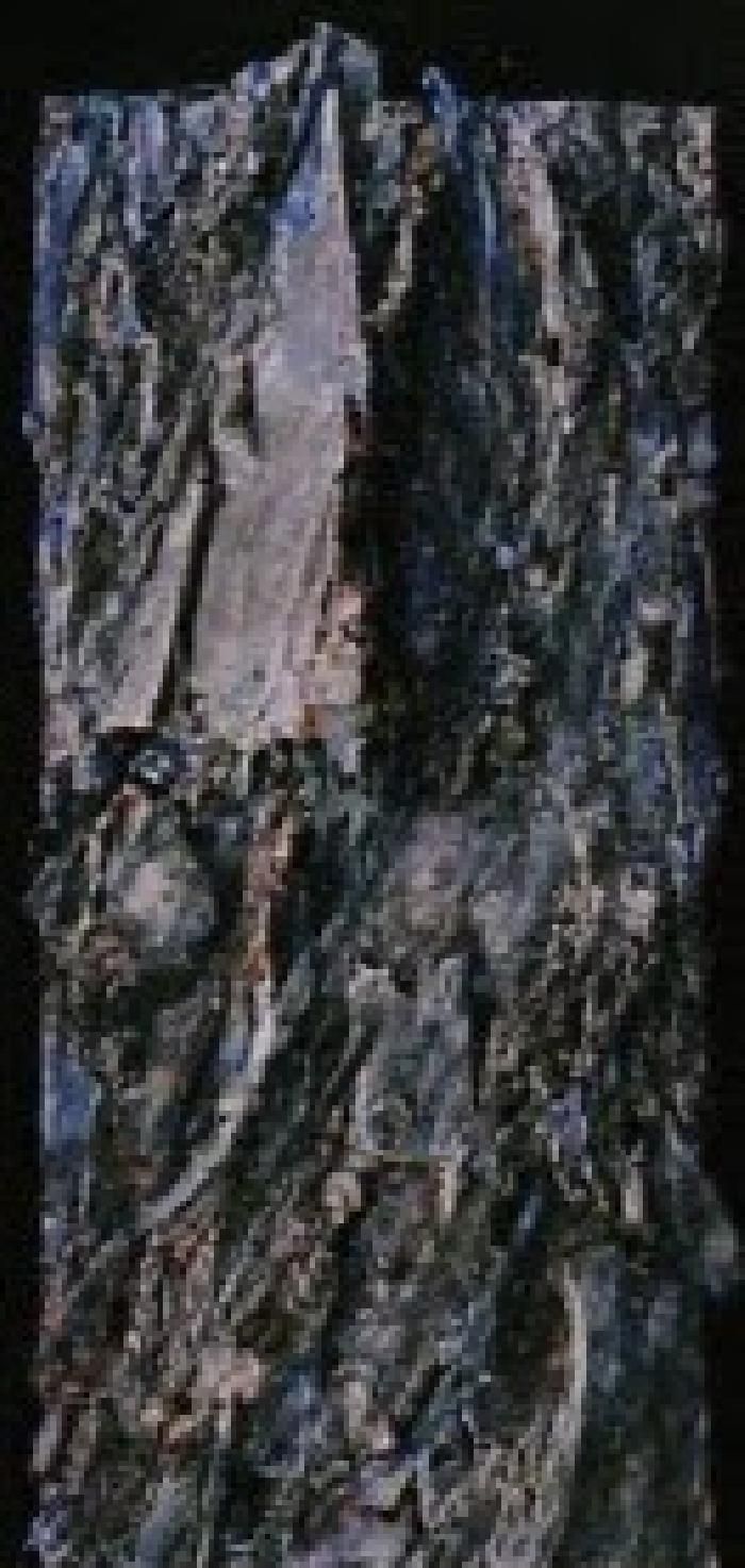 nadine kohn-fiszel artiste plasticienne,accueil,image 145