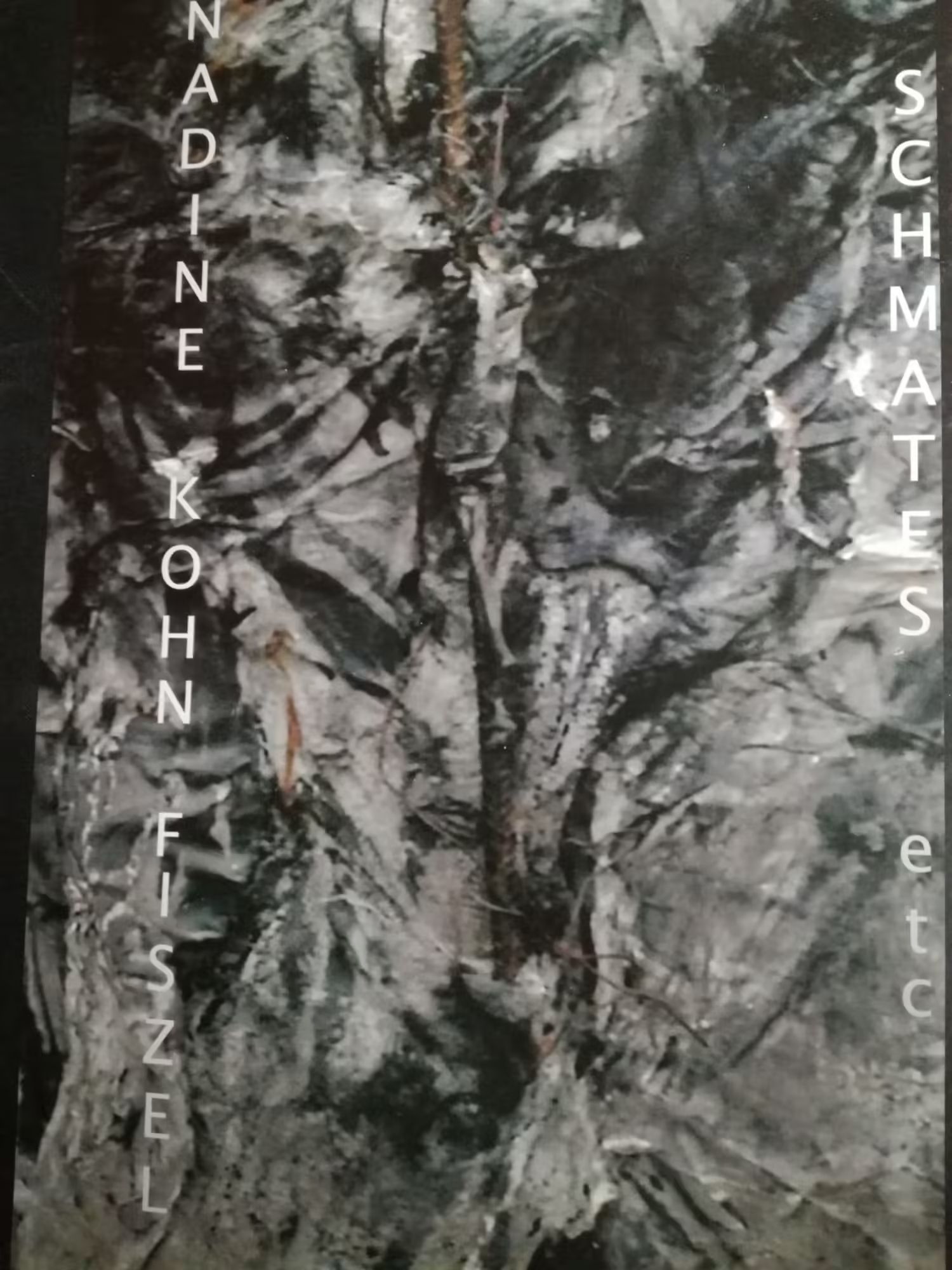 nadine kohn-fiszel artiste plasticienne,medias,image 436