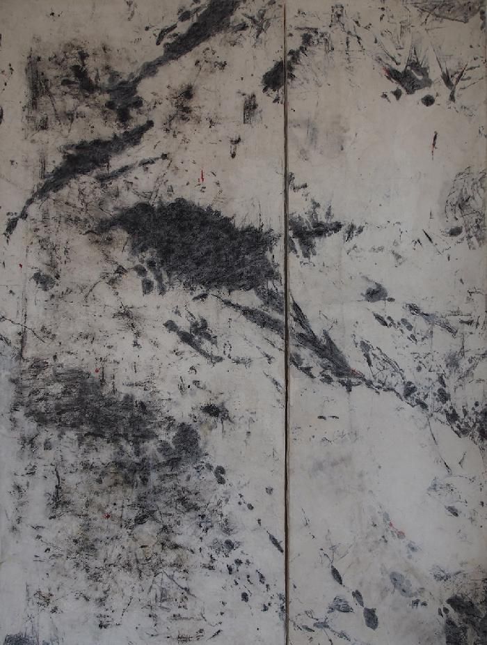 nadine kohn-fiszel artiste plasticienne,paysages interieurs,image 545